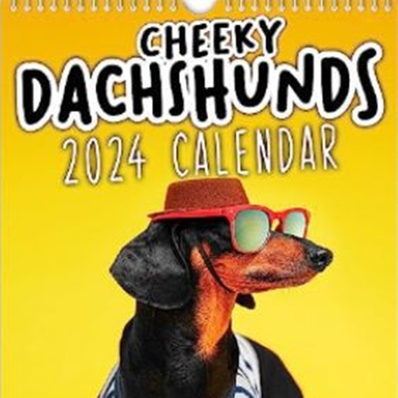 2024 Cheeky Sausage Dog Calendar Funny CJdropshipping