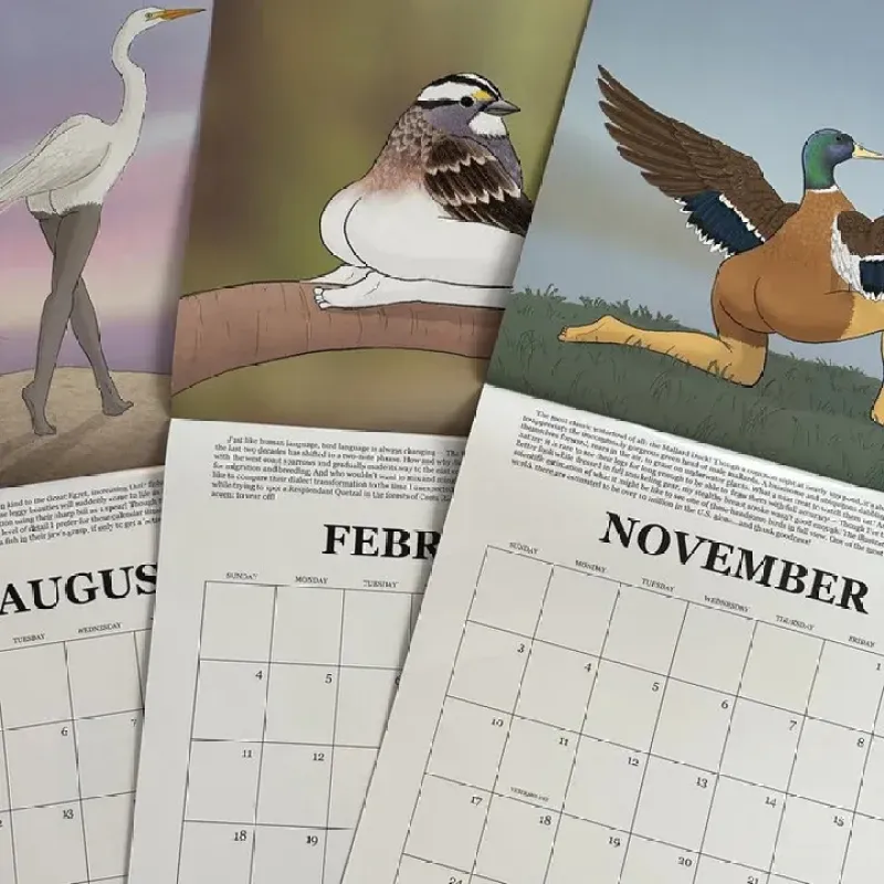 2024 Extremely Accurate Birds Calendar Decorative Wall Monthly Calendar For  Bird Lovers Room Calendars For Bedroom Living - CJdropshipping